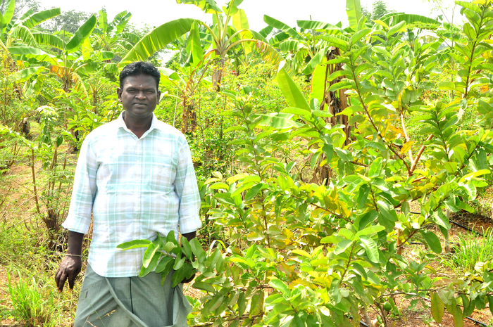 Mr. Kulandhaivelu- AABC Scheme Beneficiary